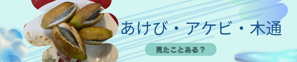 akebi